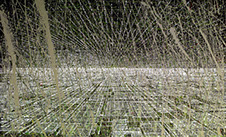 Ulrich Reimkasten, Gras, 2007, Pigmente, Acryl, Leim auf Leinwand, 170 x 280 cm, Anfänge [3/3]