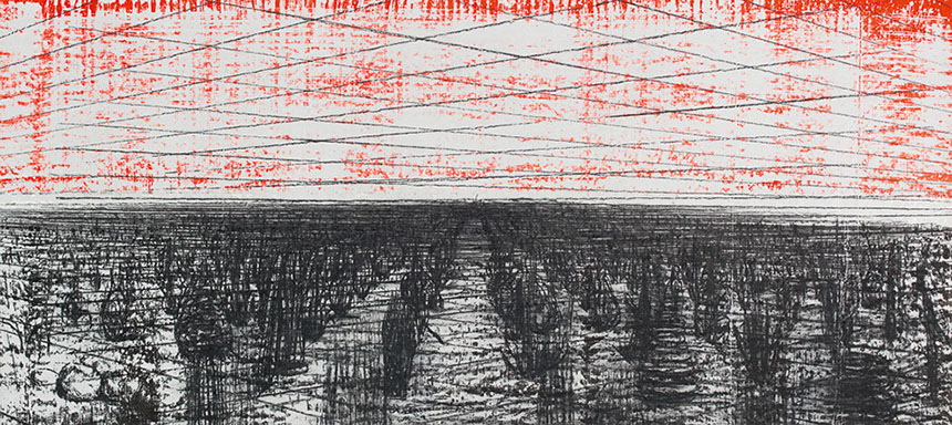 Ulrich Reimkasten, Kraut, 2008, Pigmente, Acryl, Leim auf Leinwand, Kohlezeichnung, 93 x 207 cm, Natürliche Räume [1/4], Repro: Joachim Blobel