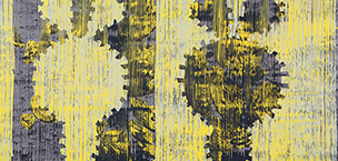 Ulrich Reimkasten, Doppler, 2013, Pigmente, Acryl, Leim auf Leinwand, 135 x 220 cm, Aussparungen [2/2], Repro: Joachim Blobel