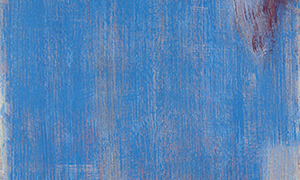 Ulrich Reimkasten, Double, 2001, Pigmente, Acryl, Leim, Steinmehle auf Leinwand, 190 x 135 cm, Krake [2/5], Repro: Thomas Richter