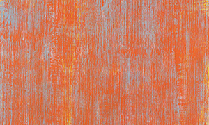 Ulrich Reimkasten, Spiegelbild, 2001, Pigmente, Acryl, Leim auf Leinwand, 190 x 135 cm, Krake [3/5], Repro: Thomas Richter