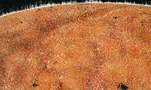 Ulrich Reimkasten, 2012.12.21.21.12.02.12.01., 2002, Pigmente, Acryl, Leim auf Jute, 195 x 410 cm, Tzolkin [2/17], Repro: Thomas Richter