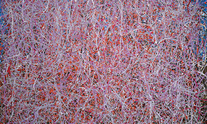 Ulrich Reimkasten, Weiche Wand - Baustoffe der Zukunft, 2002, Pigmente, Acryl, Leim auf Jute, 200 x 230 cm, Klocksin [7/9], Repro: Thomas Richte