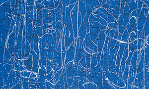 Ulrich Reimkasten, Strings, 2005, Pigmente, Acryl, Leim auf Leinwand, 250 x 180 cm, Repro: Joachim Blobel