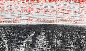Ulrich Reimkasten, Kraut, 2008, Pigmente, Acryl, Leim auf Leinwand, Kohlezeichnung, 93 x 207 cm, Natürliche Räume [1/4], Repro: Joachim Blobel