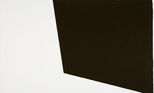 Ulrich Reimkasten, Futur 4, 2013, Pigmente, Acryl, Leim auf Leinwand, 135 x 220 cm, Futur [4/4], Repro: Joachim Blobel